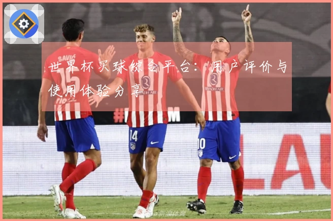 世界杯买球综合平台：用户评价与使用体验分享