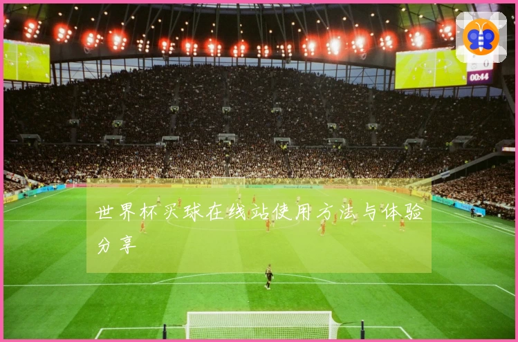世界杯买球在线站使用方法与体验分享