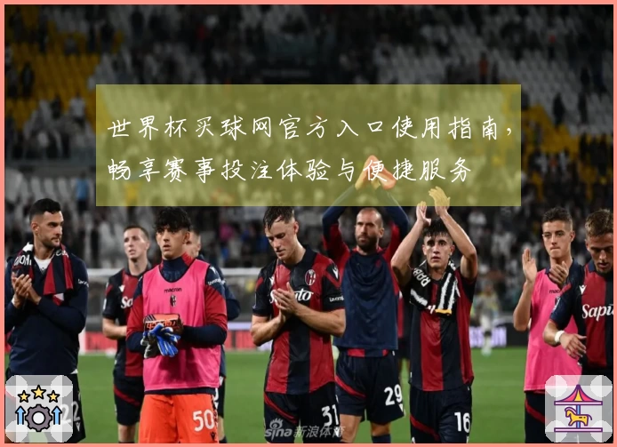 世界杯买球网官方入口使用指南，畅享赛事投注体验与便捷服务