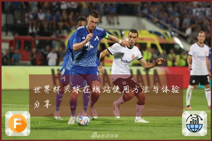 世界杯买球在线站使用方法与体验分享