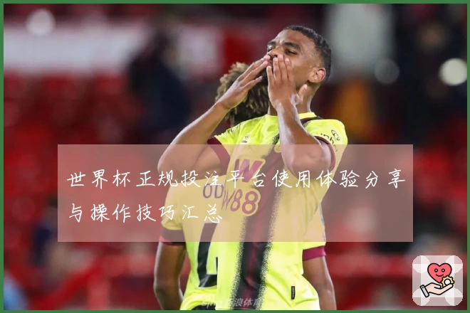 世界杯正规投注平台使用体验分享与操作技巧汇总