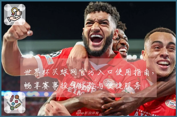 世界杯买球网官方入口使用指南，畅享赛事投注体验与便捷服务