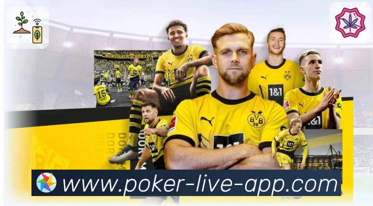 赛事解说与看点整理